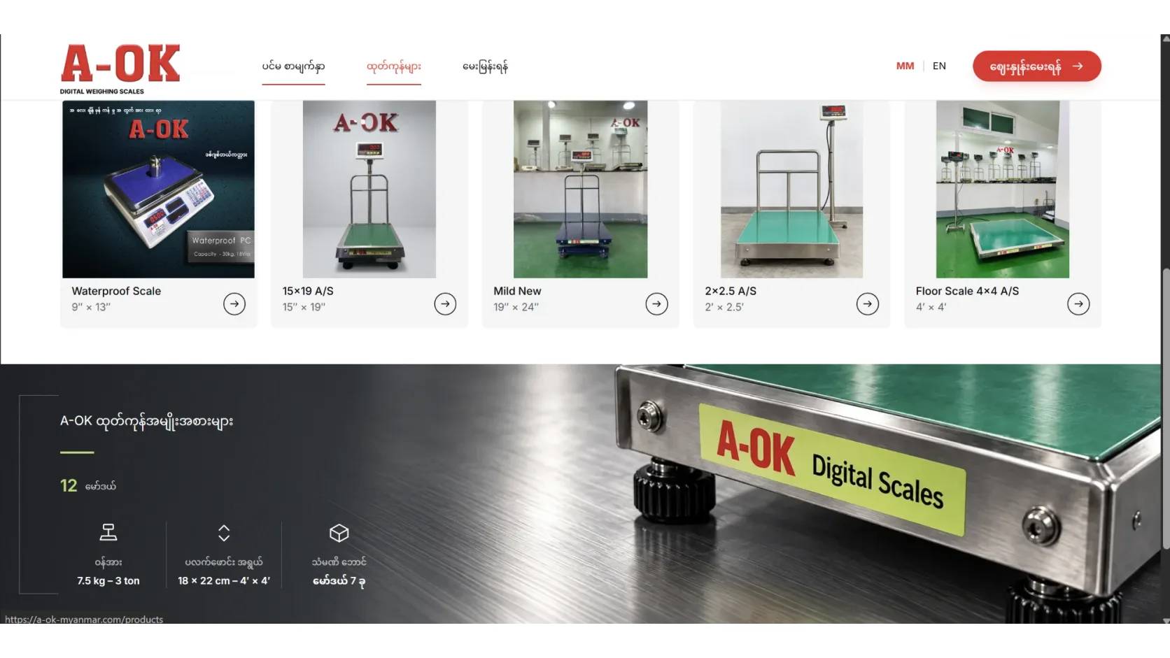 Products: Every scale with its platform size, from tabletop scales to 4′ × 4′ floor scales. Customer details, order numbers, stock counts and revenue obscured.